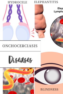 Onchocerciasis- the diseases it causes when left untreated